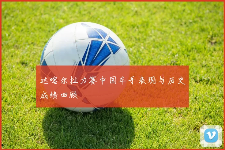 达喀尔拉力赛中国车手表现与历史成绩回顾
