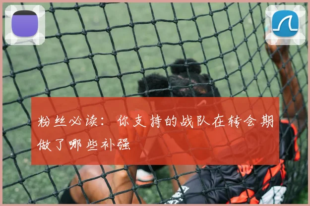 粉丝必读：你支持的战队在转会期做了哪些补强
